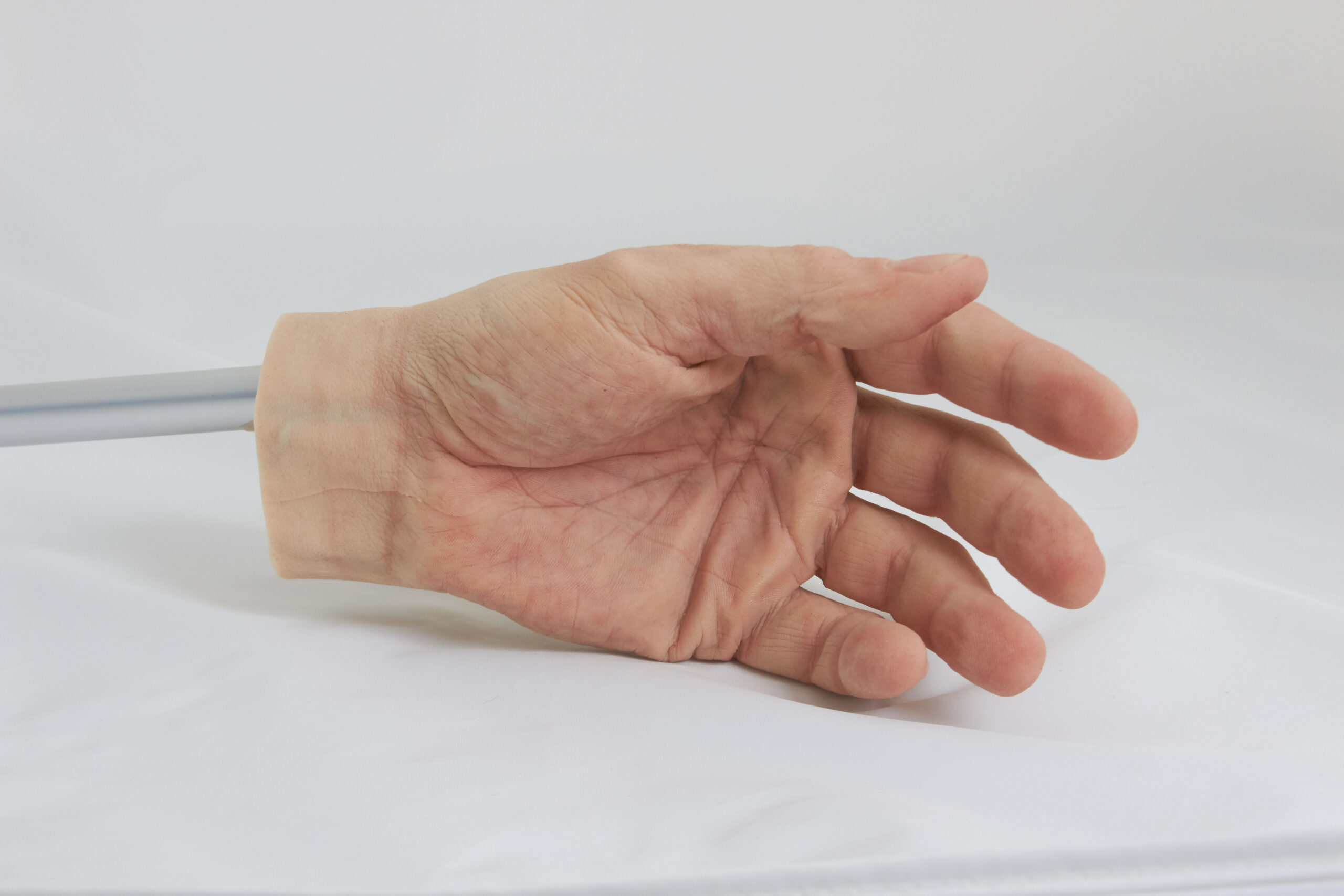 Naturgetreue Silikon Prothese vor hellem Hintergrund.