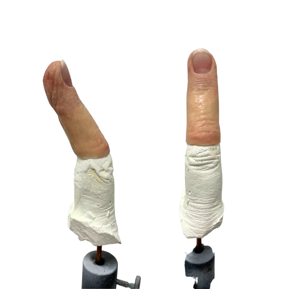 Fingerprothesen Silikon Frontal- und Seitenansicht von zwei Gipsschablonen mit darauf modellierten Silikonüberzügen in Fingerform zur Herstellung realistisch aussehender Fingerprothesen.