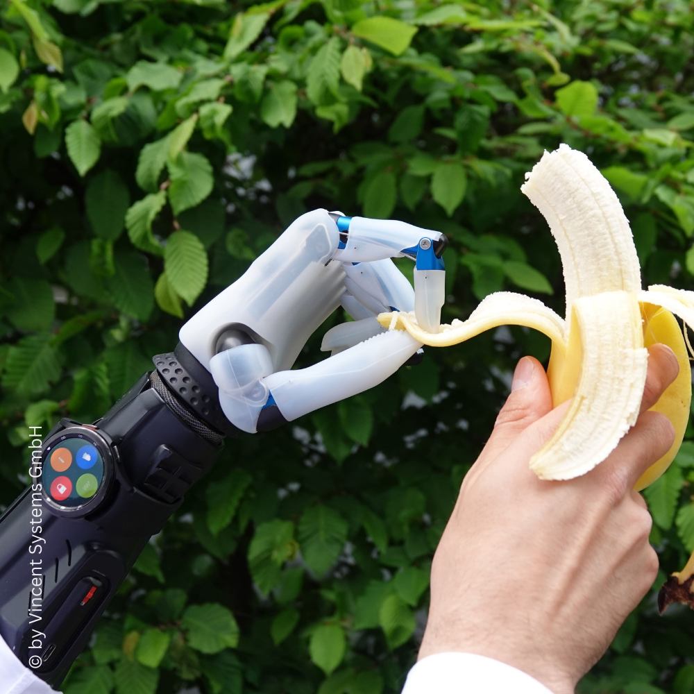 Moderne Handprothese schält eine Banane – unterstreicht die Alltagstauglichkeit und feinmotorischen Fähigkeiten der Prothese bei einfachen Aufgaben.