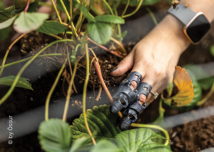 Eine Person arbeitet im Garten und pflanzt. Die Hand trägt eine Prothese, die die Finger bei der Gartenarbeit unterstützt.